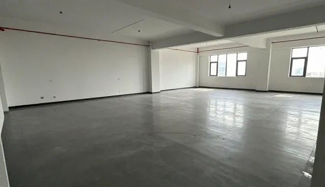 内容分发如何影响用户行为变化